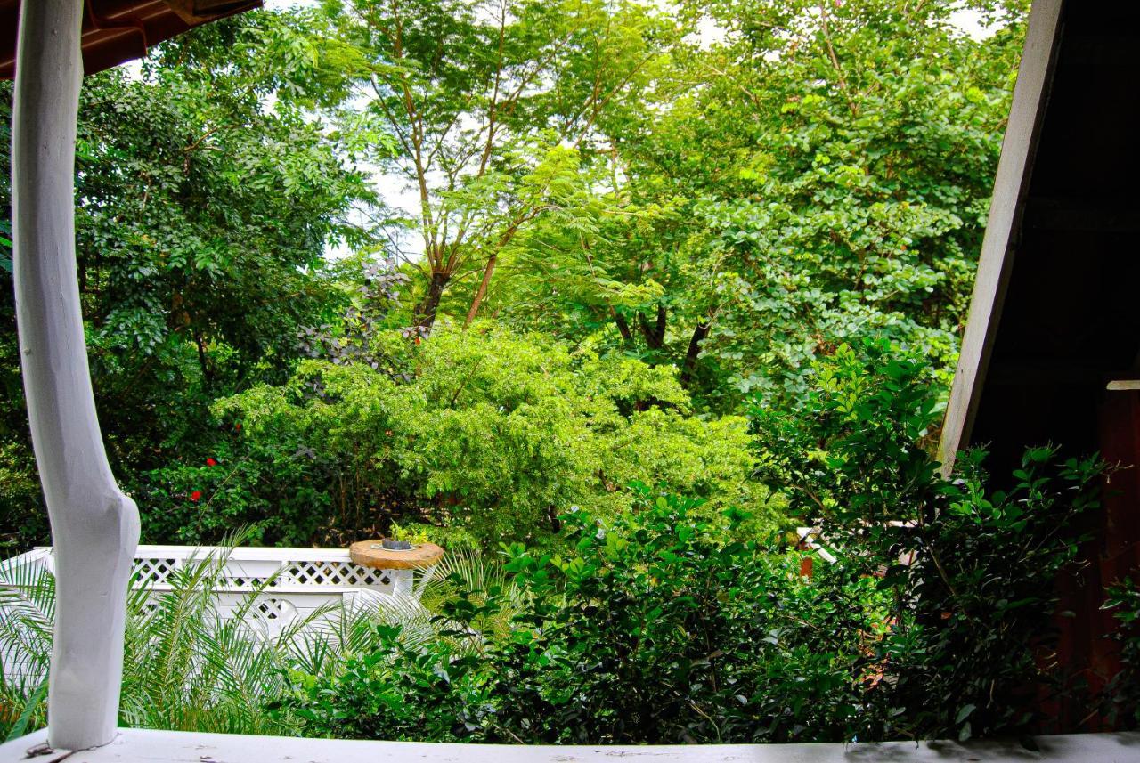 Villa Hacienda Sarah Nosara Exterior foto